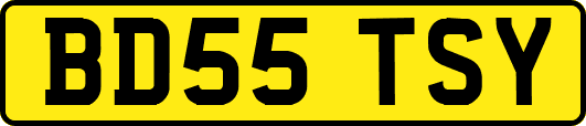 BD55TSY