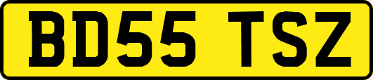 BD55TSZ