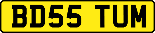 BD55TUM