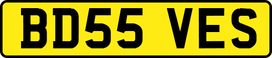 BD55VES
