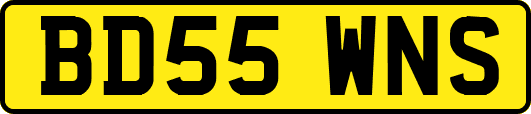 BD55WNS