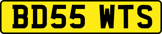 BD55WTS