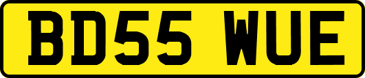 BD55WUE