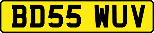 BD55WUV