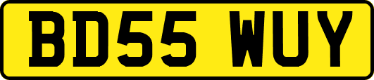 BD55WUY