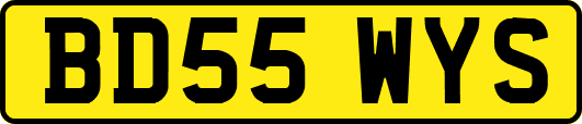 BD55WYS