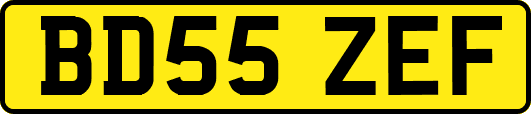 BD55ZEF