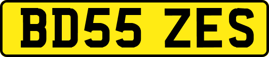 BD55ZES