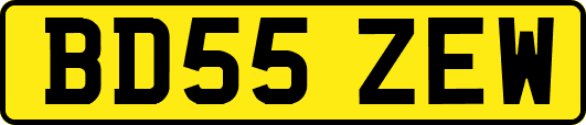 BD55ZEW