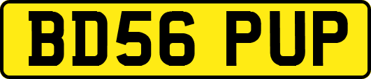 BD56PUP