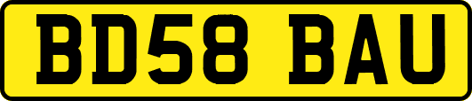 BD58BAU