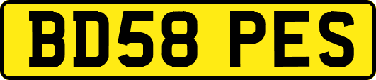 BD58PES