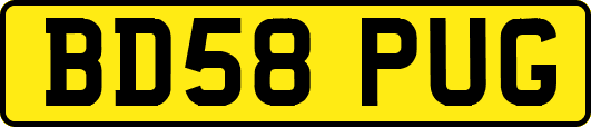 BD58PUG