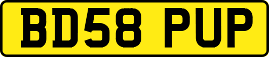 BD58PUP