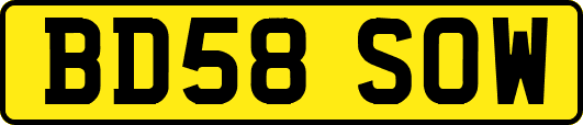 BD58SOW