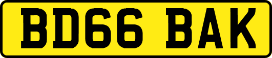 BD66BAK