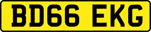 BD66EKG