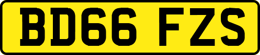 BD66FZS