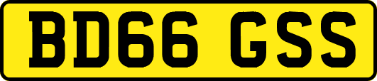 BD66GSS