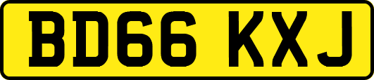 BD66KXJ