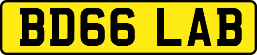 BD66LAB