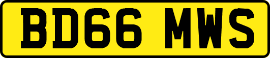 BD66MWS