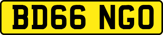 BD66NGO