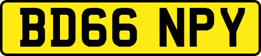 BD66NPY