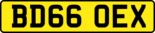 BD66OEX