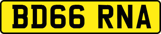 BD66RNA