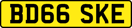 BD66SKE