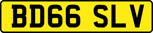 BD66SLV