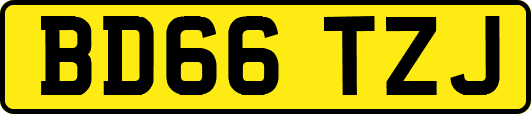 BD66TZJ