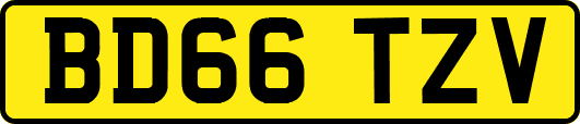 BD66TZV