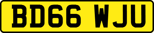 BD66WJU