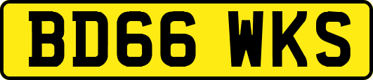 BD66WKS