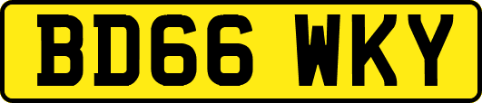 BD66WKY