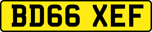 BD66XEF