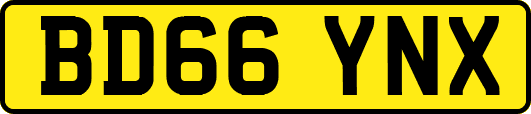 BD66YNX