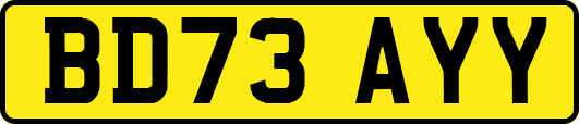 BD73AYY