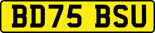BD75BSU