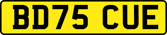 BD75CUE