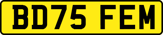 BD75FEM