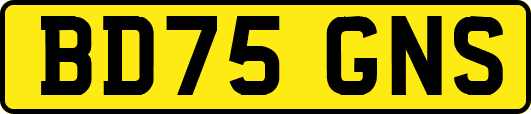 BD75GNS