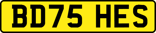BD75HES