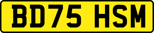 BD75HSM