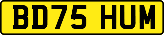 BD75HUM