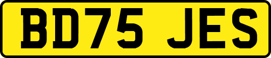 BD75JES