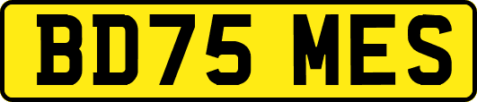BD75MES