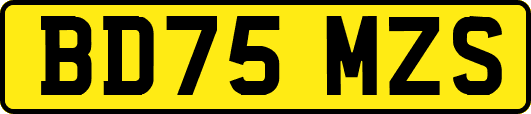 BD75MZS